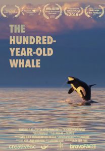 The Hundred Year Old Whale